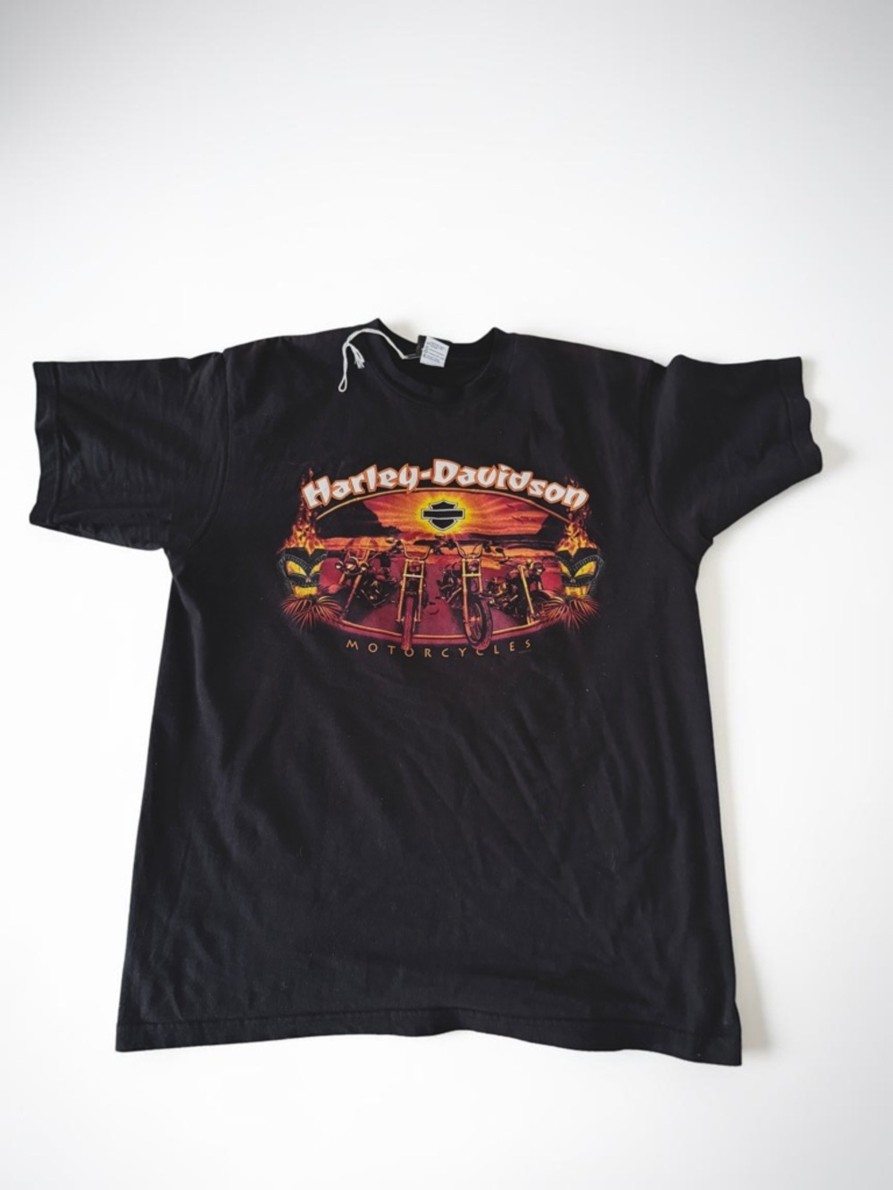 HARLEY DAVIDSON El Paso Texas - Men's Black Cotton T-Shirt - Size Medium - Picture 1 of 2